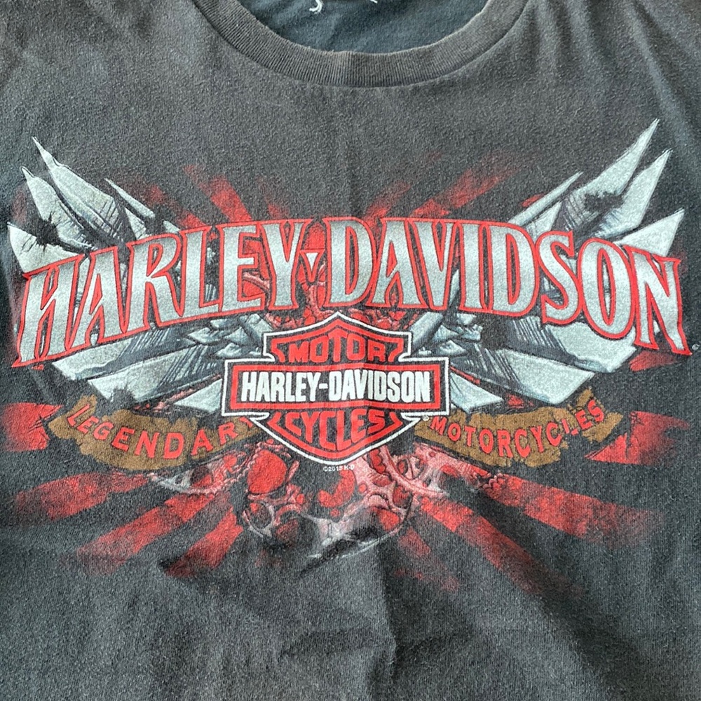 Mens Harley Davidson T-shirt